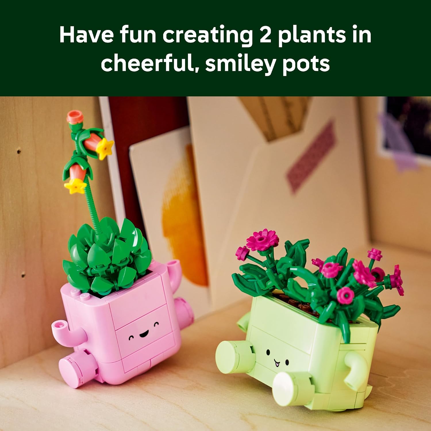 ROCKING PLANTS