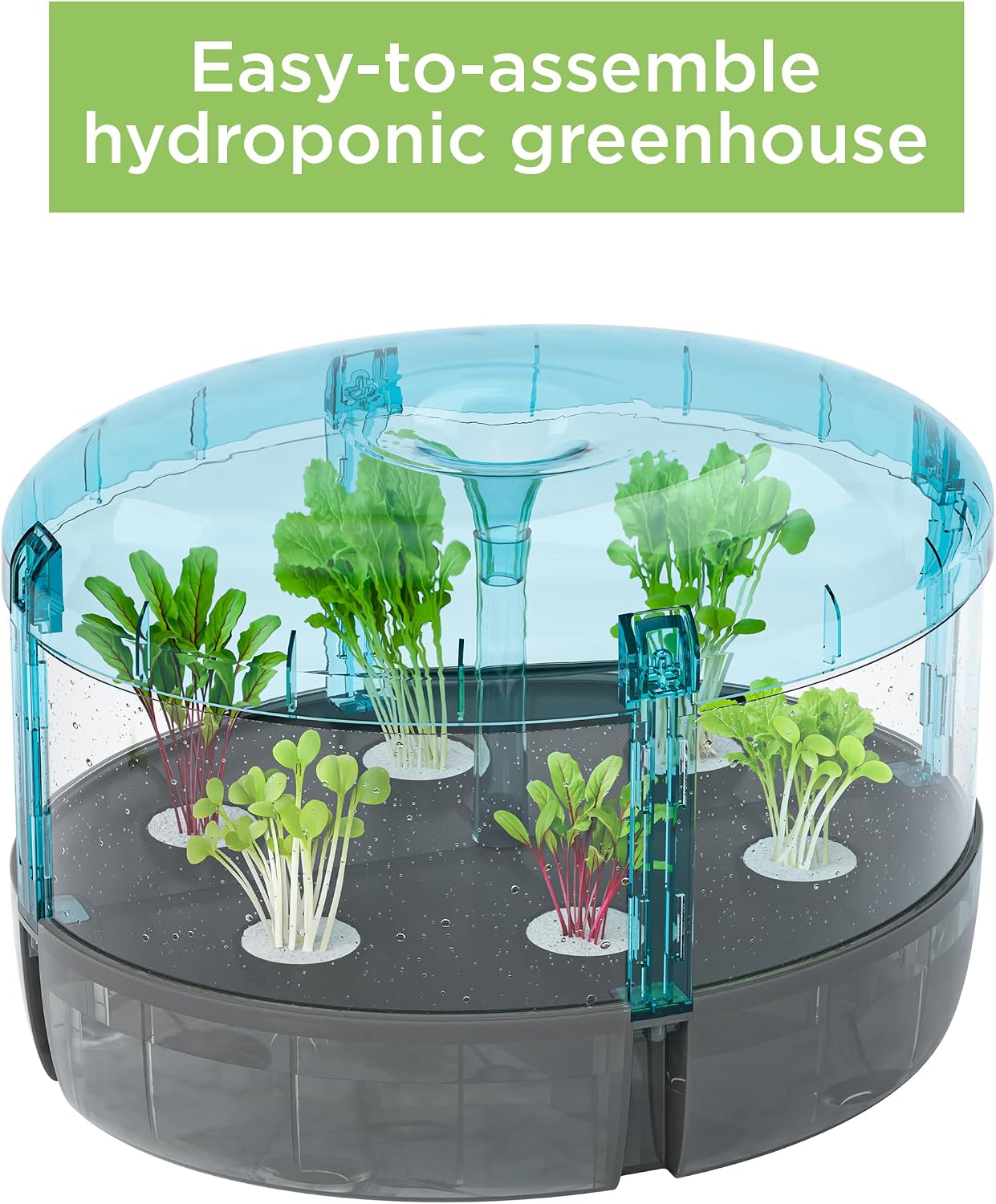 HYDROPONICS LAB