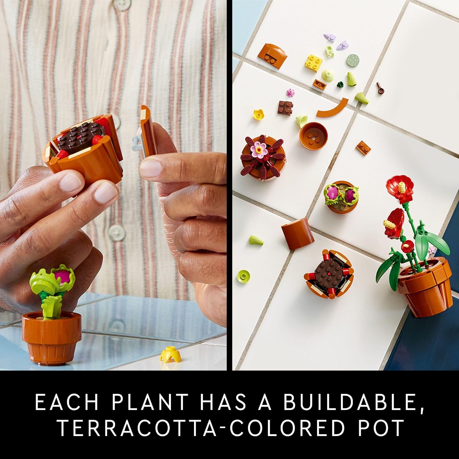 TINY PLANTS