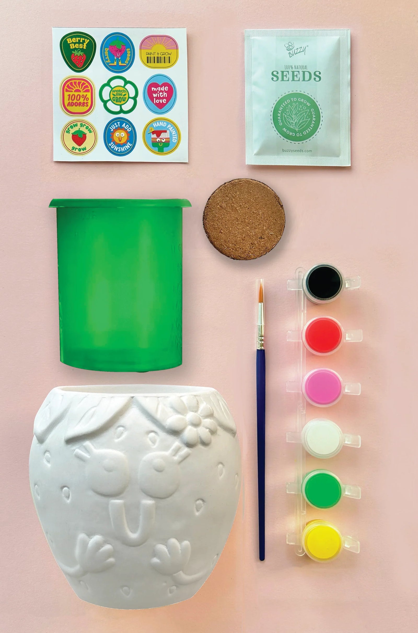 PAINT AND GROW STRAWBERRY