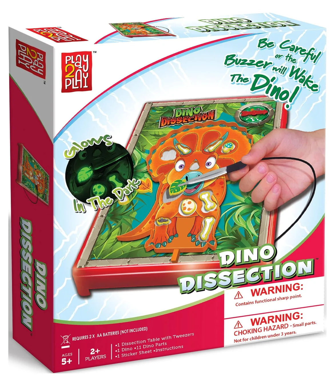 DISSECTION DINO