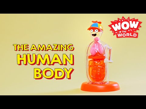 WOW IN THE WORLD AMAZING HUMAN BODY