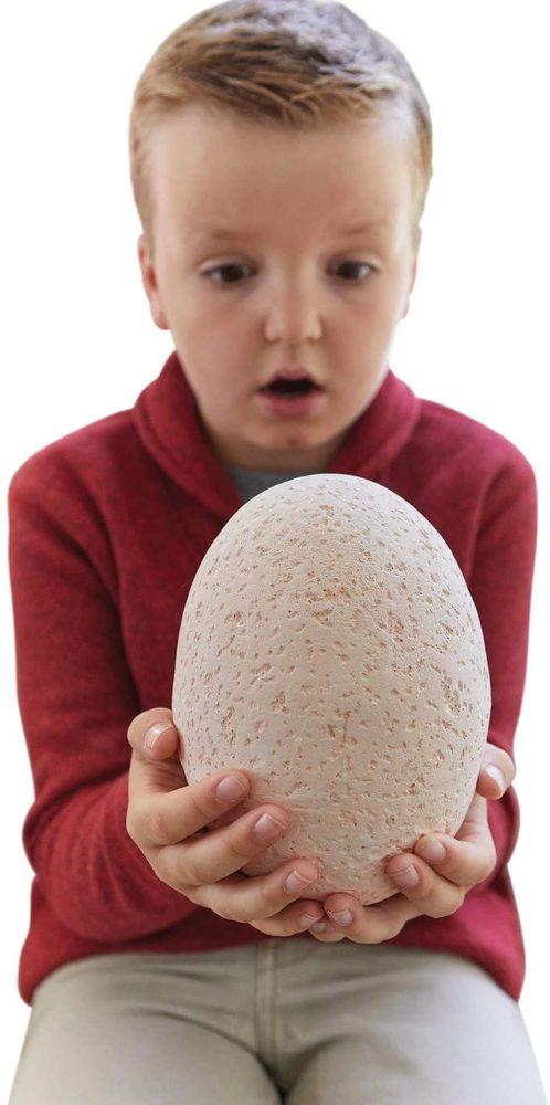 DIG IT UP! THE BIG EGG