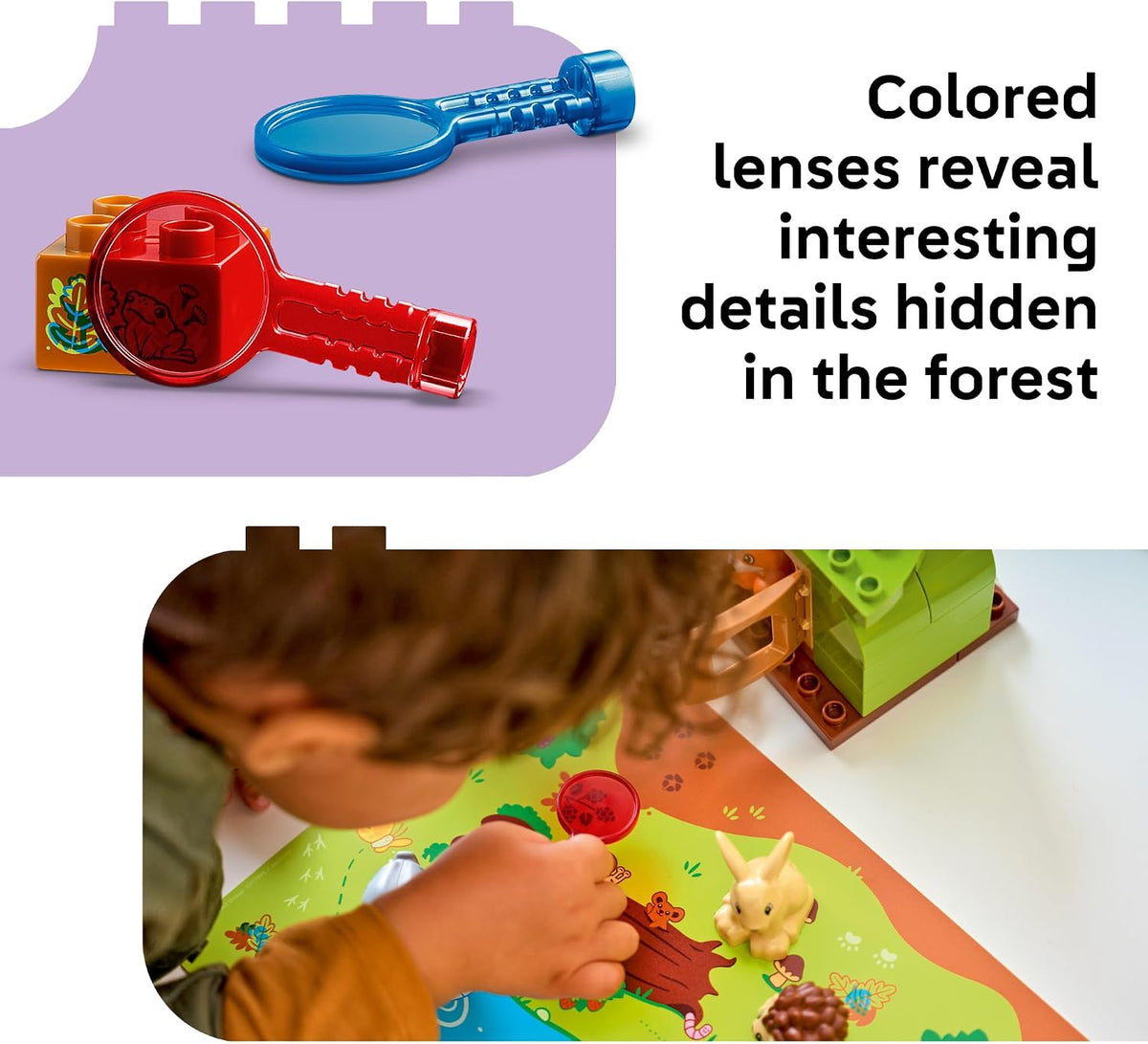 DISCOVERY FOREST WITH WILD ANIMALS