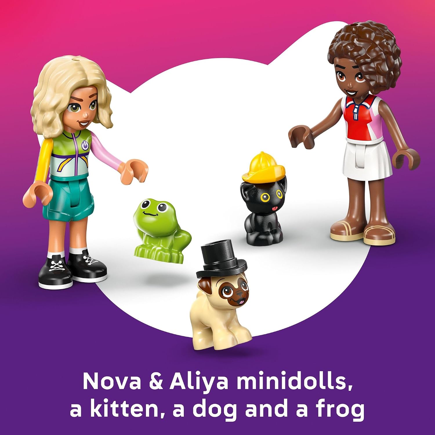 PET ACCESSORIES VAN