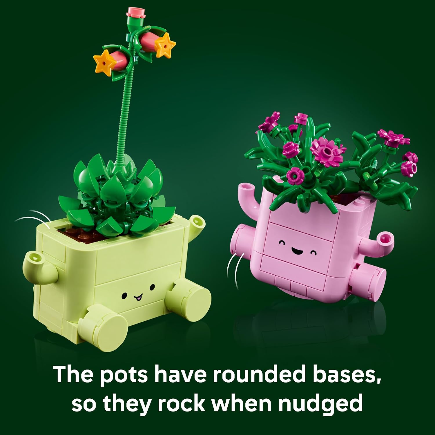 ROCKING PLANTS