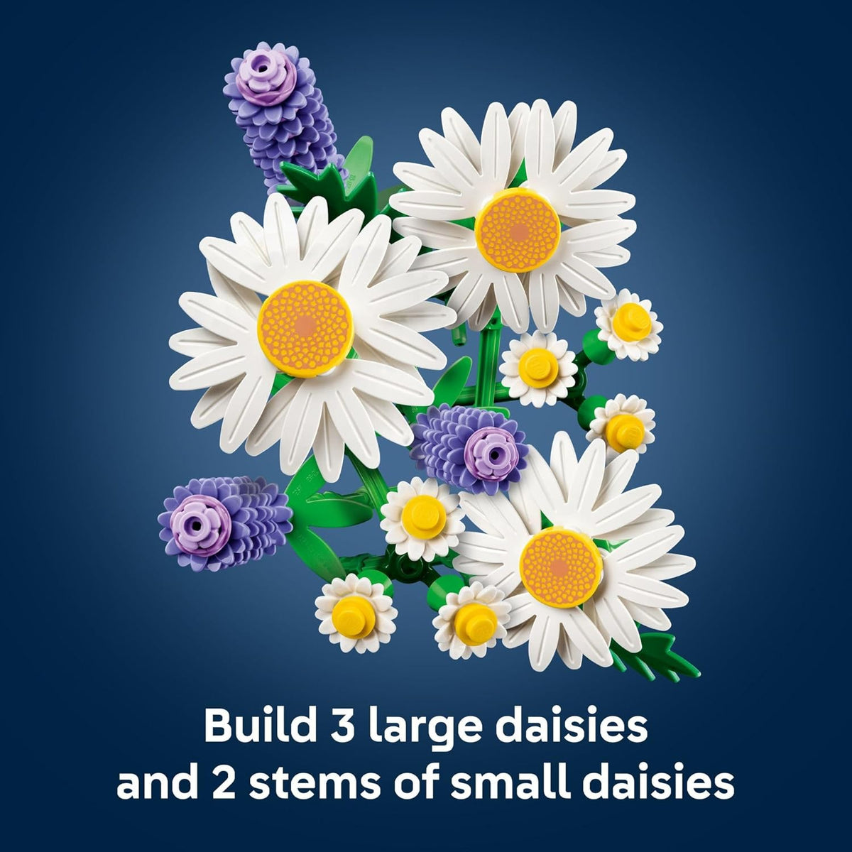 DAISIES