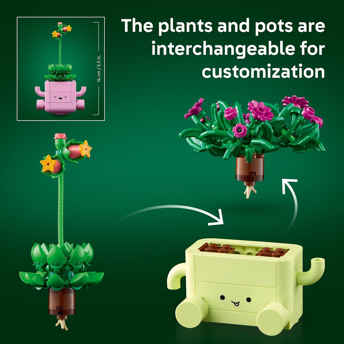 ROCKING PLANTS