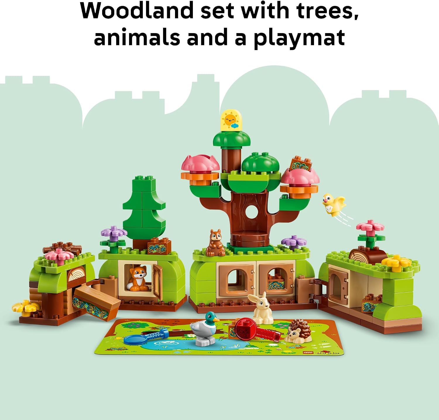 DISCOVERY FOREST WITH WILD ANIMALS