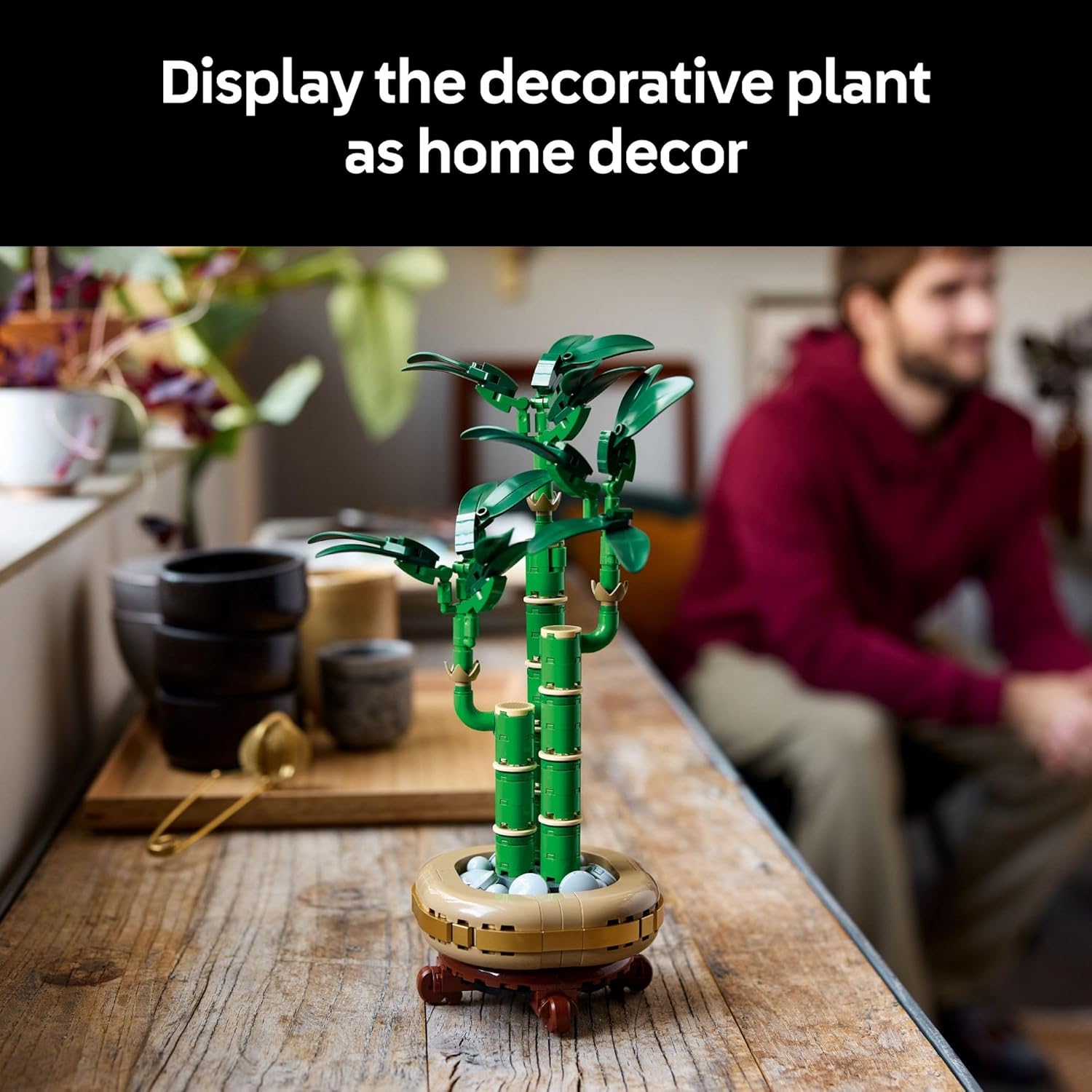 LUCKY BAMBOO