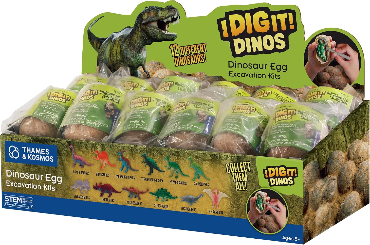 I DIG IT DINO EGG