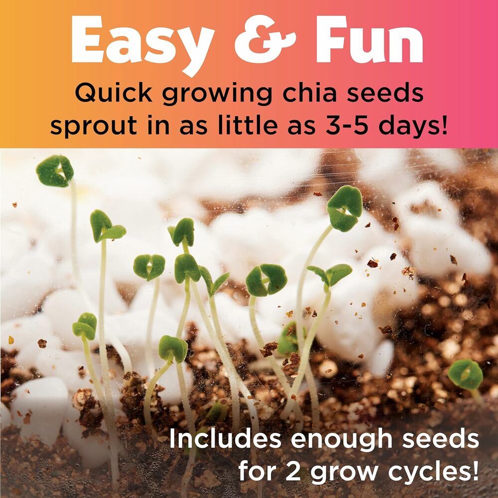 PLANT AND GROW UNICORN FOREST