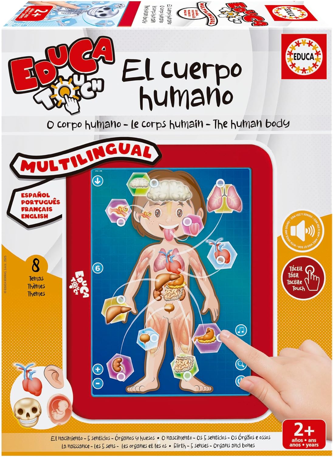 TOUCH JUNIOR THE HUMAN BODY