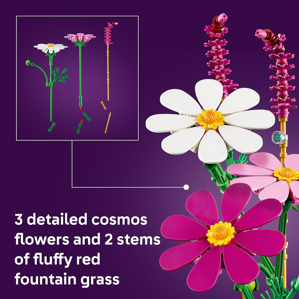 COSMOS FLOWERS