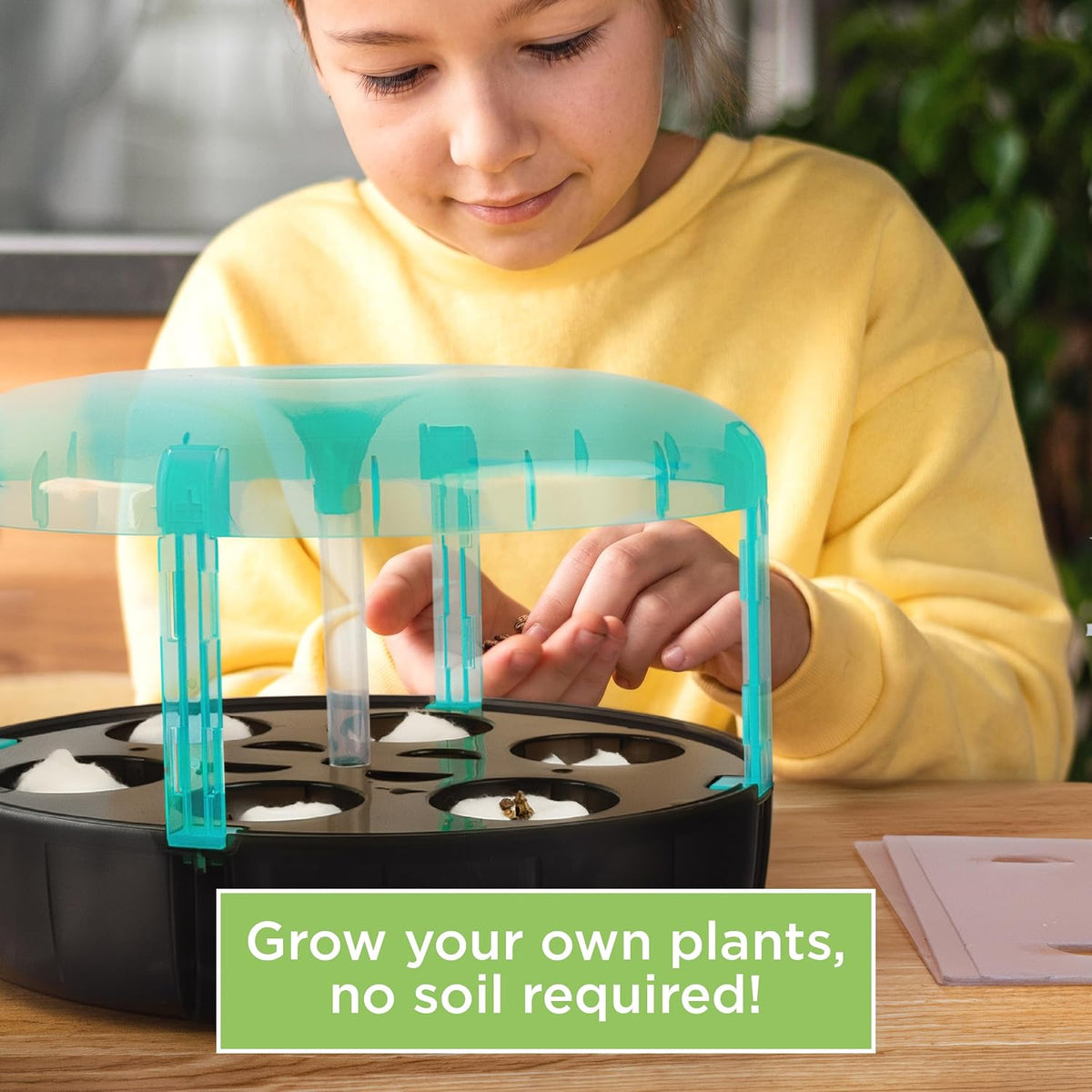HYDROPONICS LAB