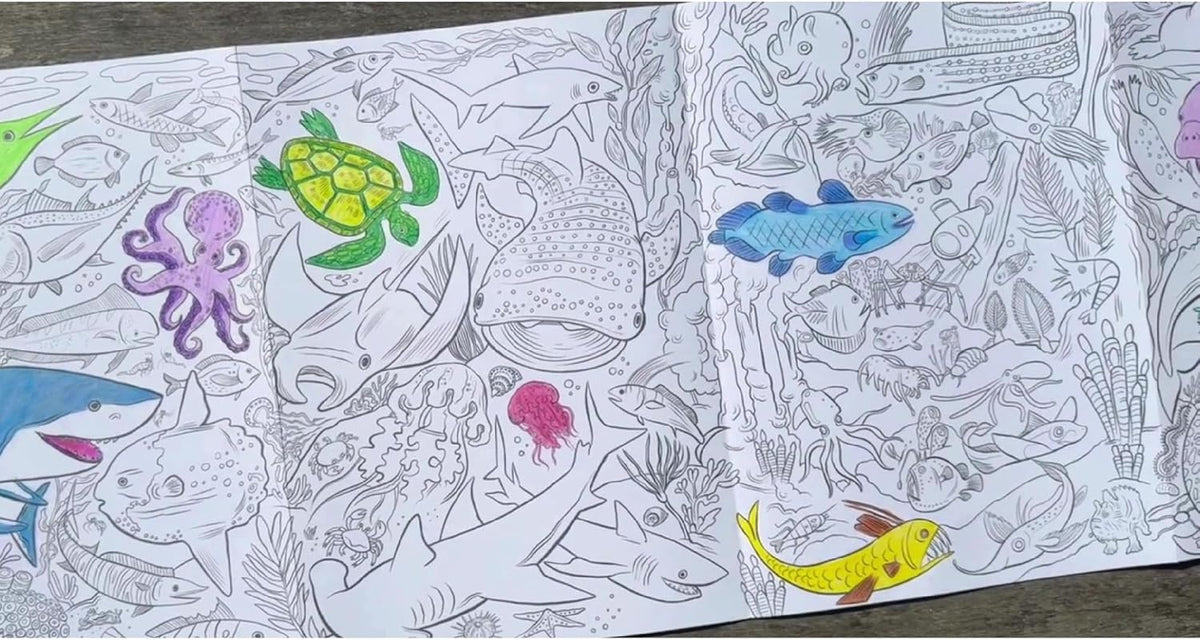Under the Sea Fold-Out Coloring Book