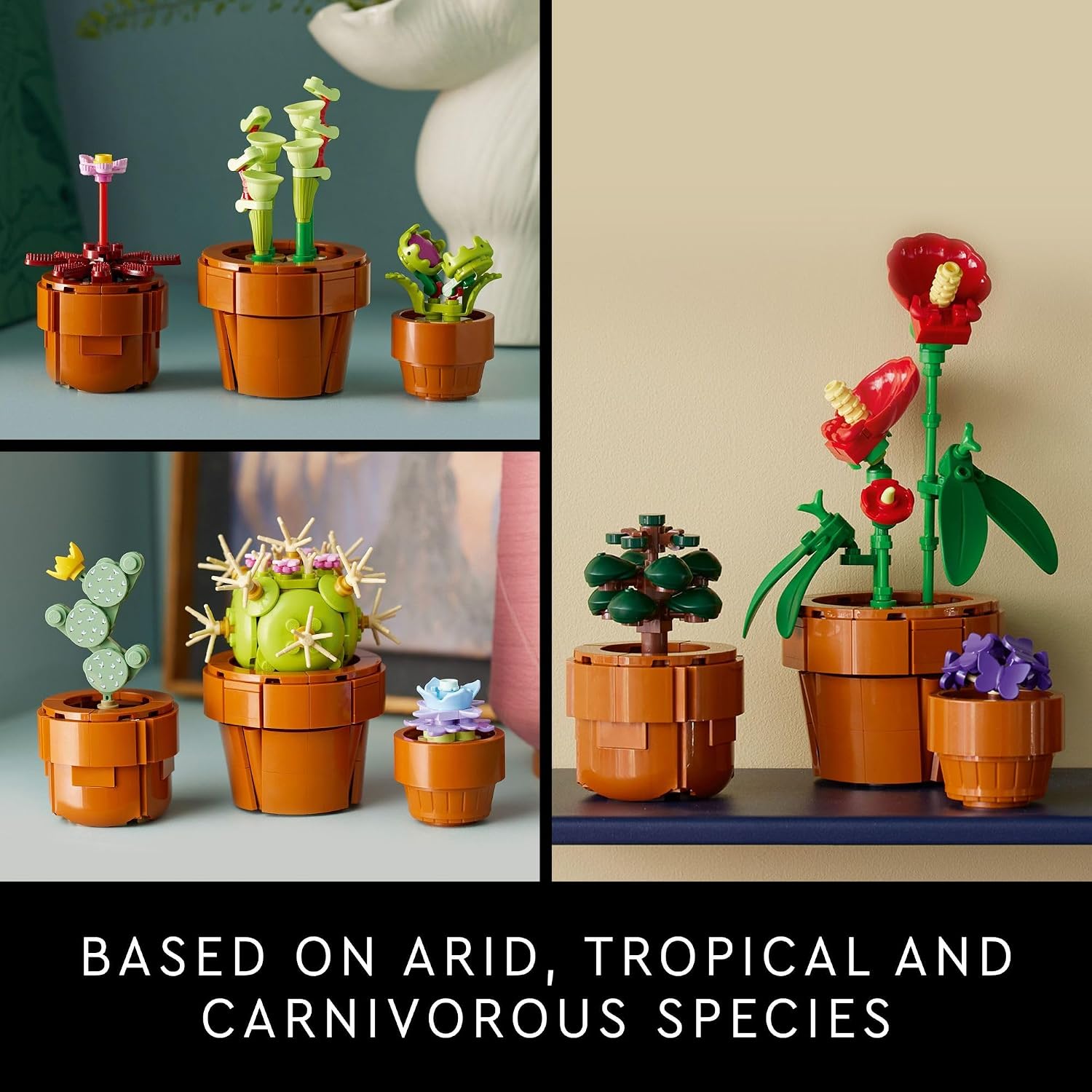 TINY PLANTS