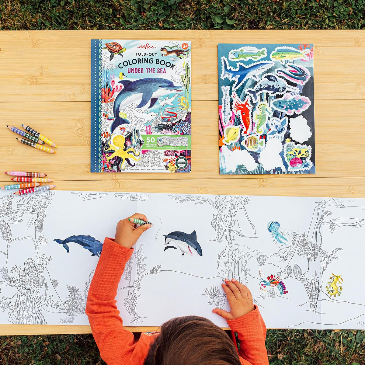 Under the Sea Fold-Out Coloring Book