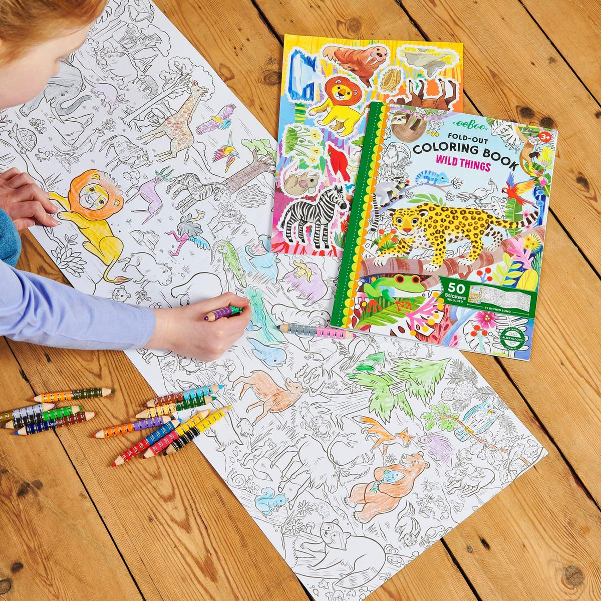 Fold-Out Coloring Book - Wild Things
