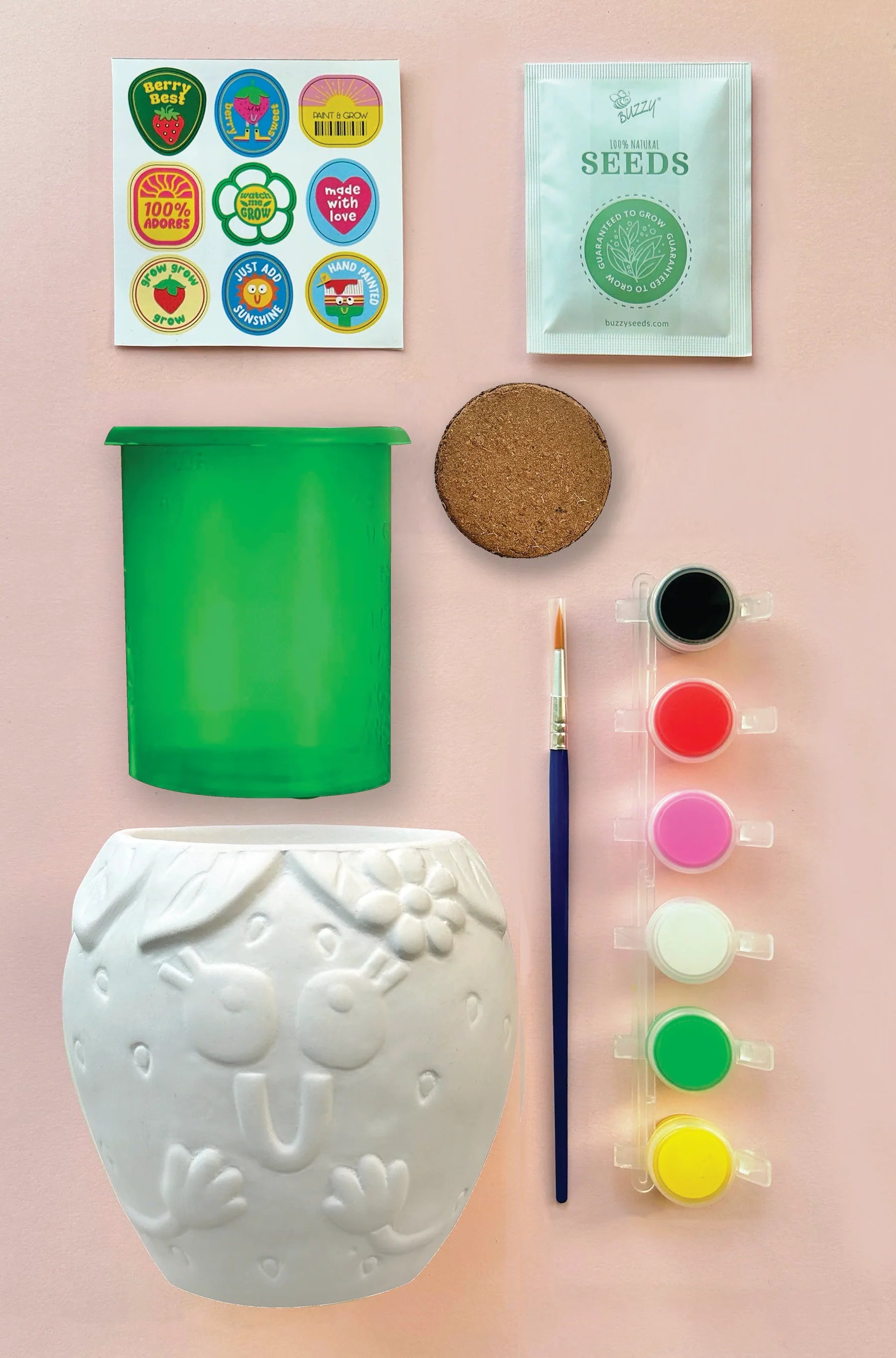 PAINT AND GROW STRAWBERRY