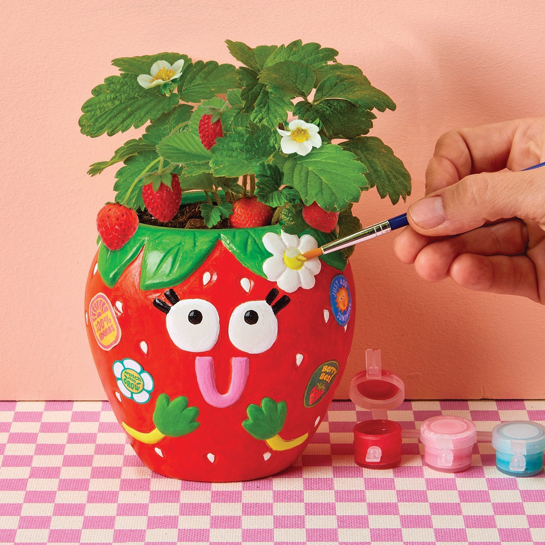 PAINT AND GROW STRAWBERRY