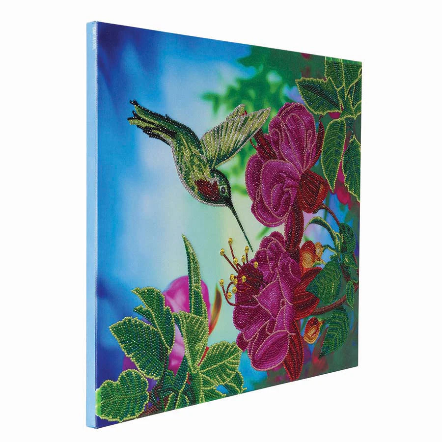 CA MOUNTED LG HUMMINGBIRD