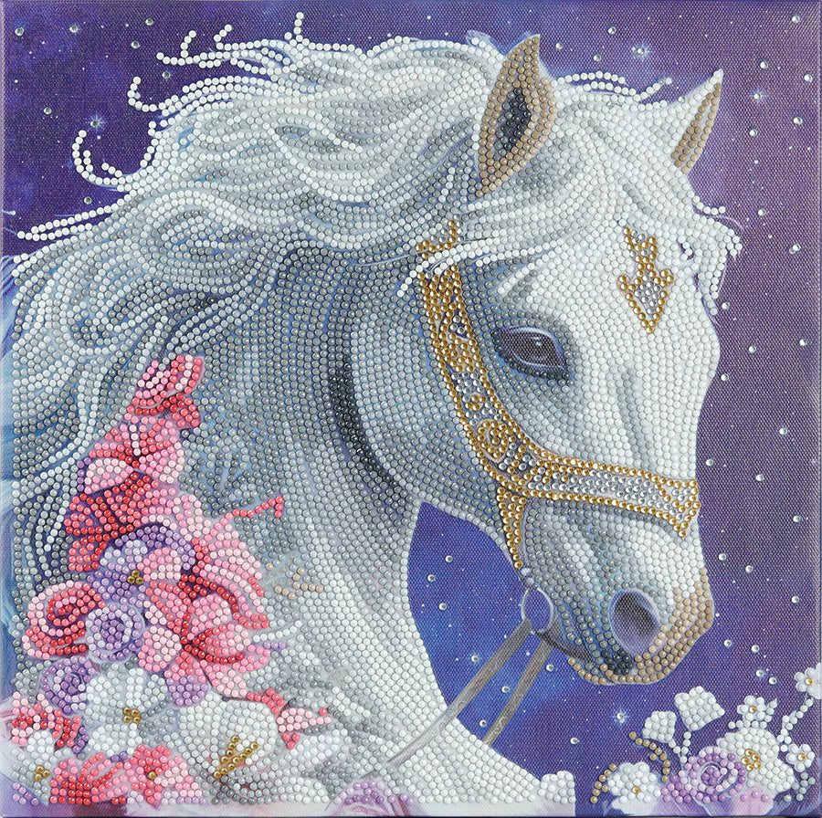 CA MOUNTED MED MYSTIC BEAUTY