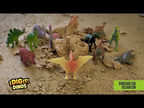 I DIG IT DINO EGG