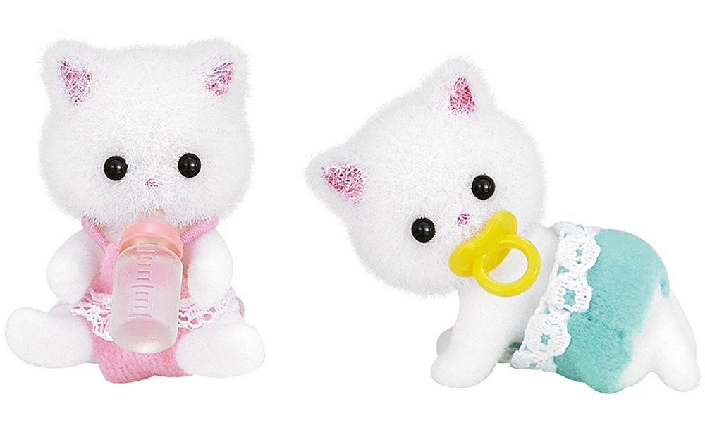 CALICO PERSIAN CAT TWINS