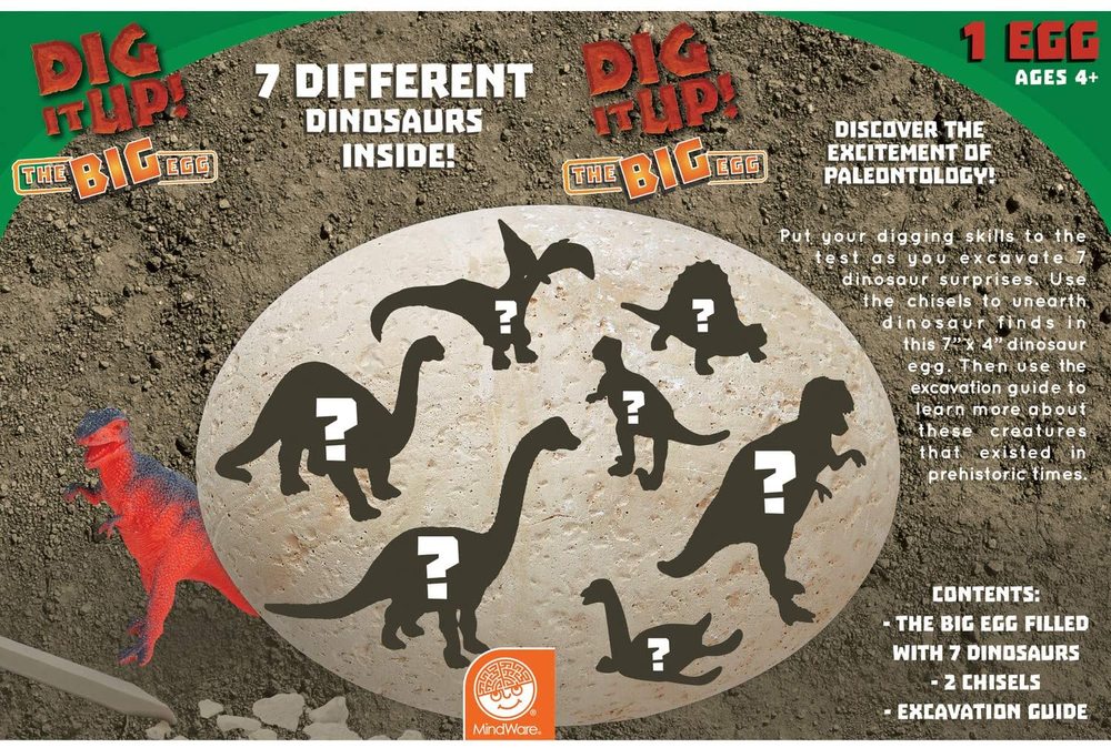 DIG IT UP! THE BIG EGG