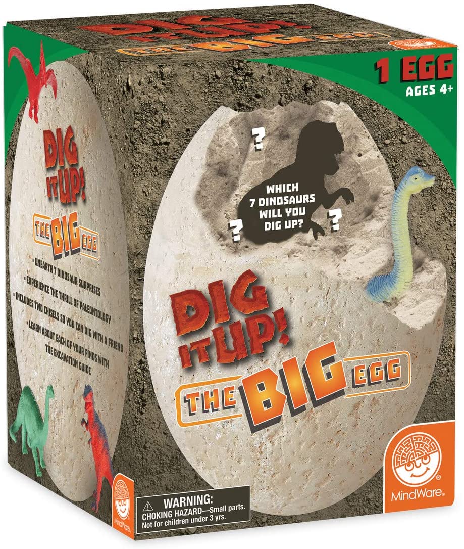 DIG IT UP! THE BIG EGG