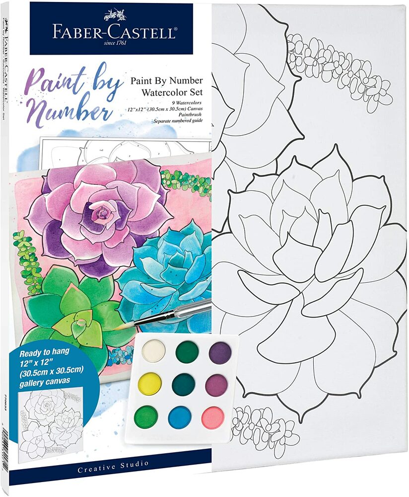 WATERCOLOR SUCCULENTS PAINT BY NUMBER
