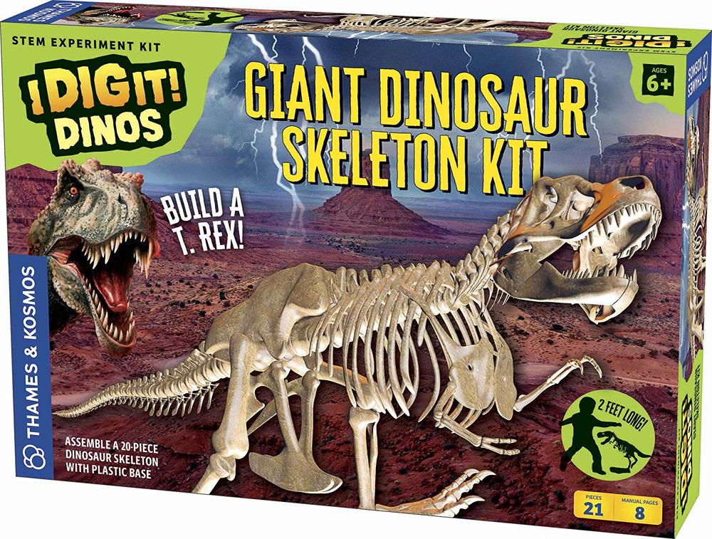 GIANT DINOSAUR SKELETON KIT