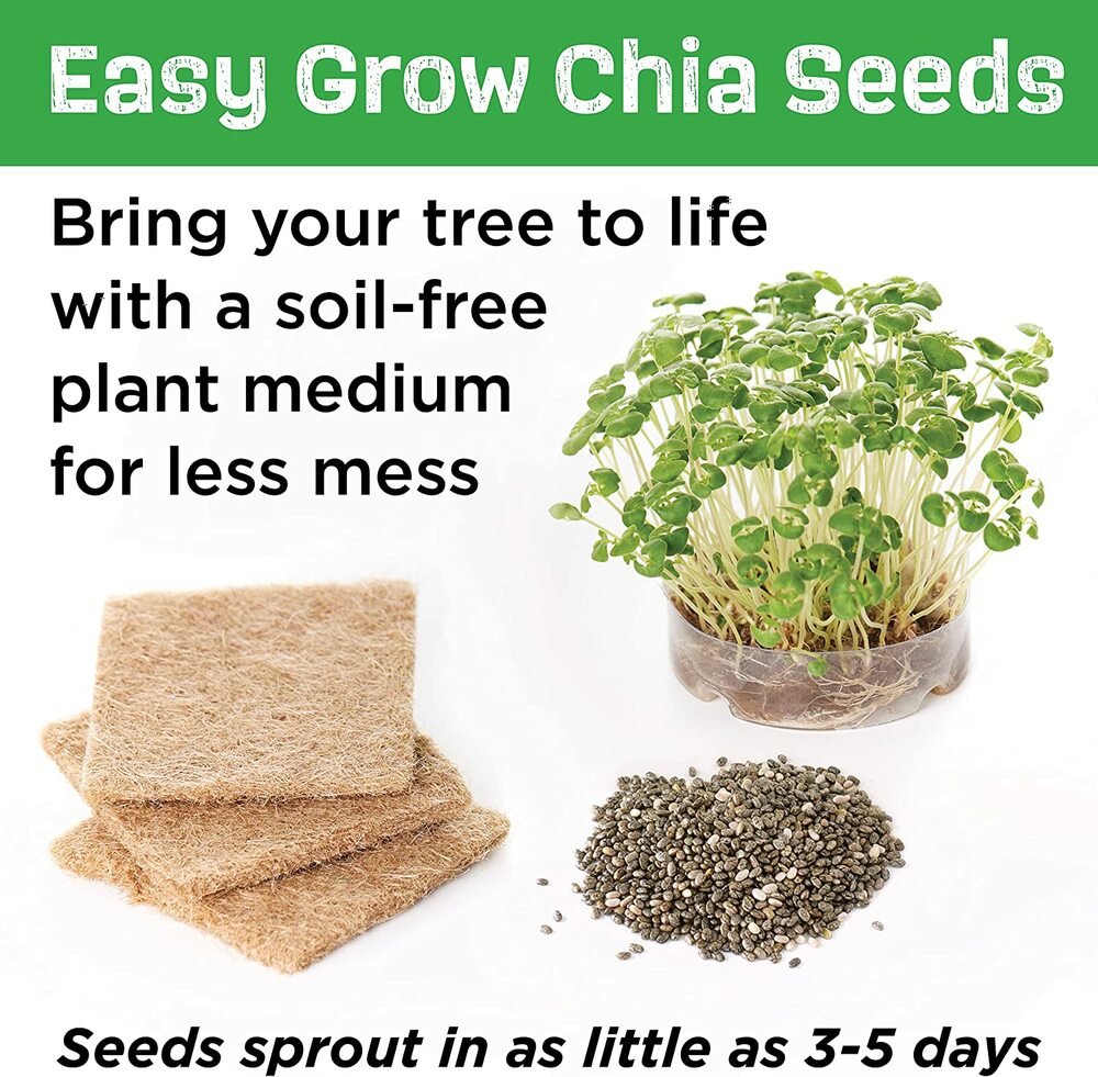 BUILD AND GROW TREE HOUSE