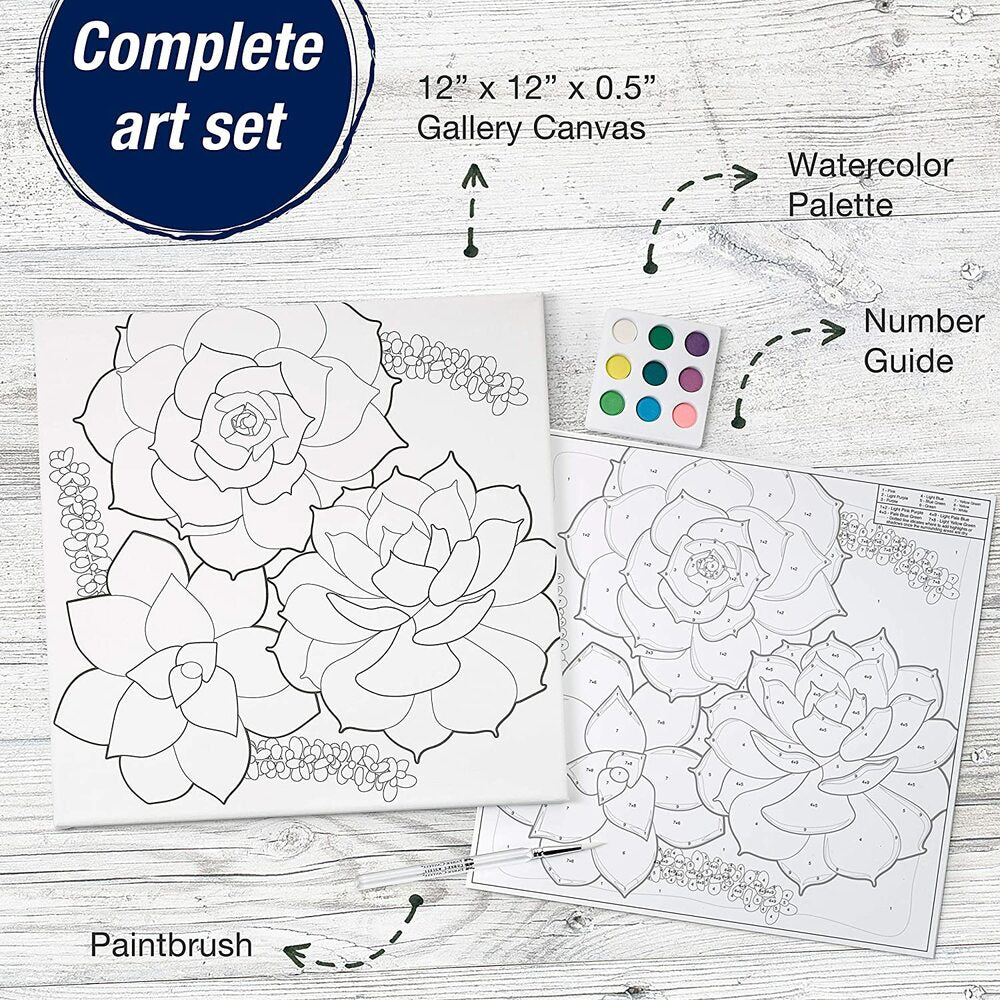 WATERCOLOR SUCCULENTS PAINT BY NUMBER