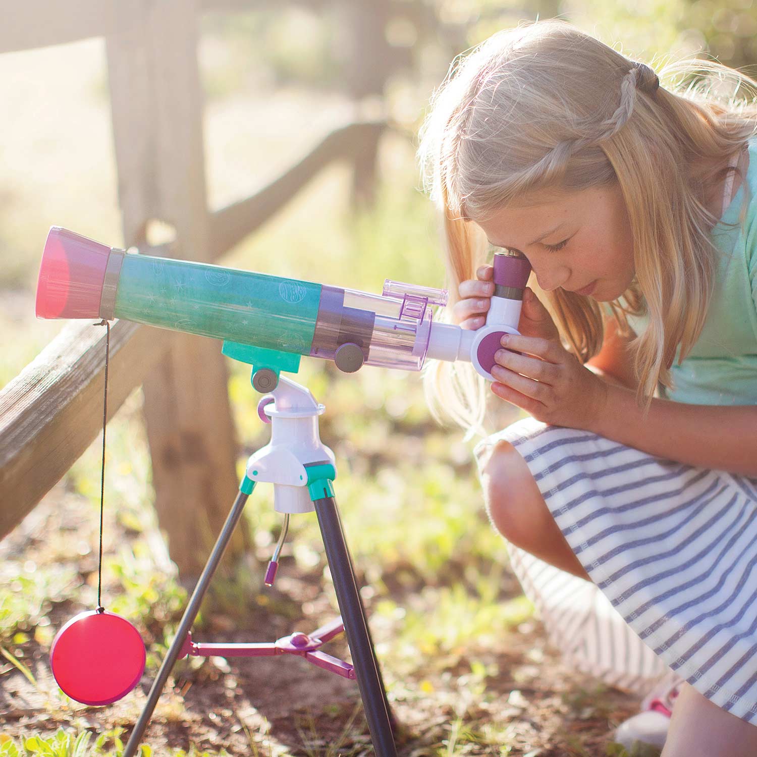 NANCY'S B TELESCOPE & JOURNAL