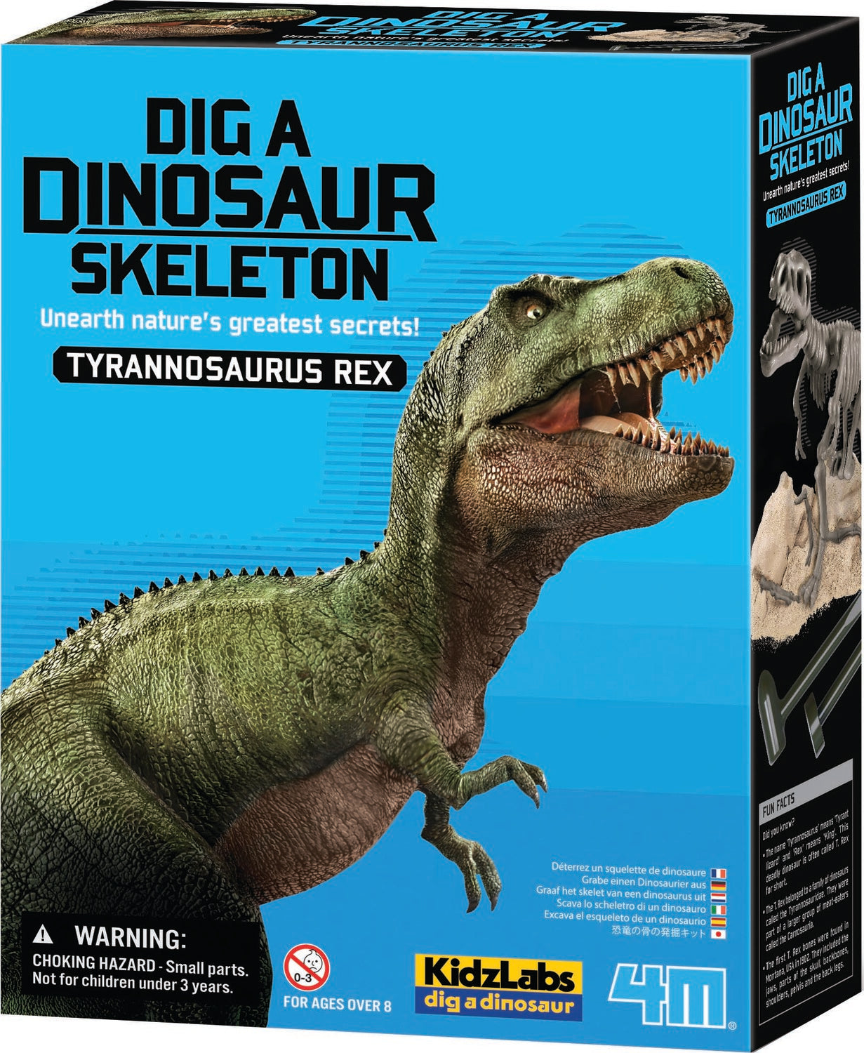 DIG A DINO T-REX