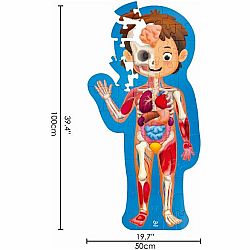 HUMAN BODY PUZZLE