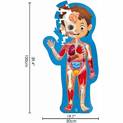 HUMAN BODY PUZZLE