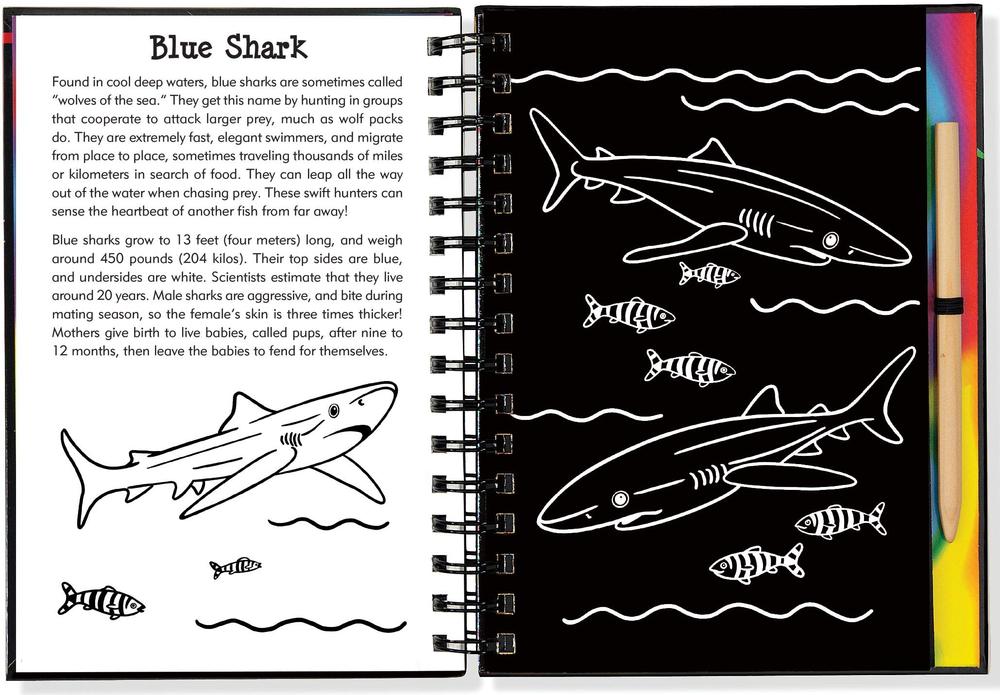 SCRATCH & SKETCH SHARKS - Toys 2 Learn